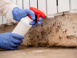 Best Water Damage & Mold Remediation  in Wolfdale, PA